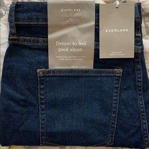 Everlane Mid-Rise Skinny Jeans in Dark Wash Blue